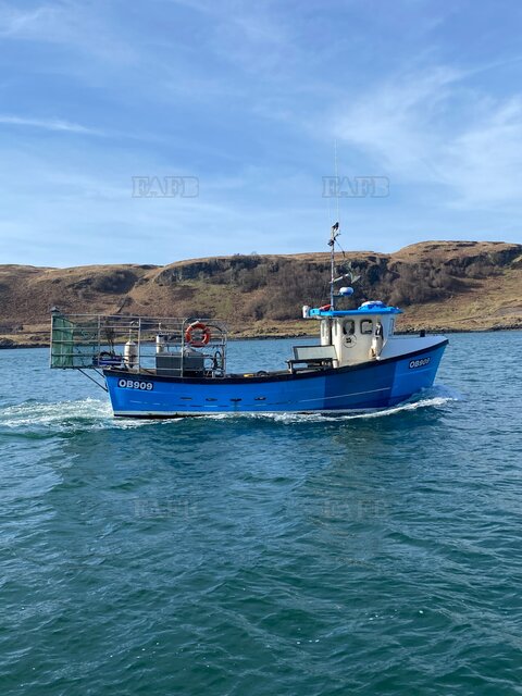 Large picture for advert 123266