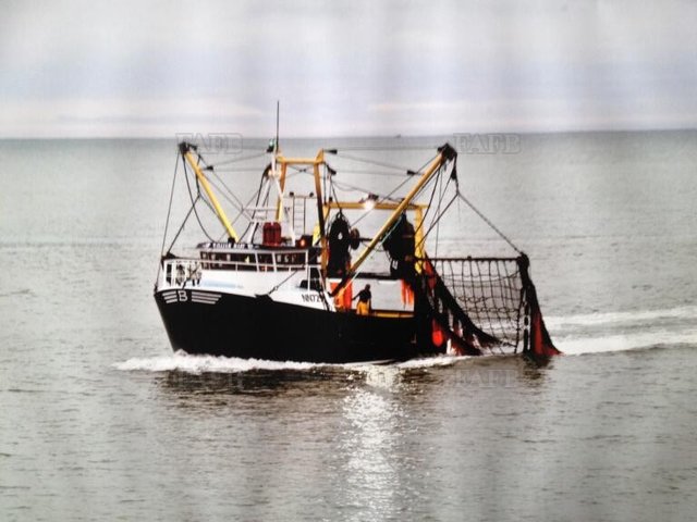 Large picture for advert 107266