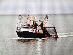 William Mary 14 Mtr beam trawler, scalloper Possible part exchange Under 10mtr - William Mary 14m Scalloper / Beam Trawler Some Quota Available - ID:107266