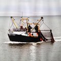 WILLIAM MARY 14 Mtr Beam Trawler, Scalloper, - picture 2