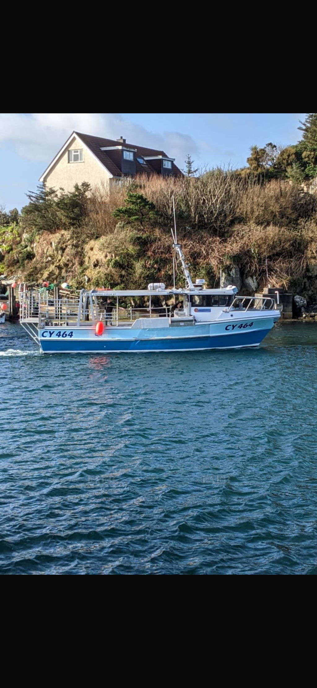 Cygnus Cyfish37