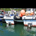 Thumbnail for picture 12