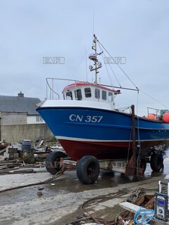 Cygnus cyfish 33 (boat and license) - Clifford Noel  - ID:124270