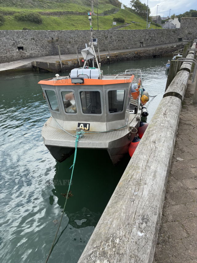 Large picture for advert 142271