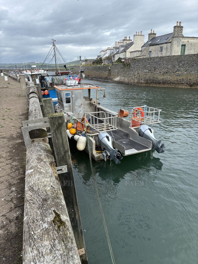 Large picture for advert 142271