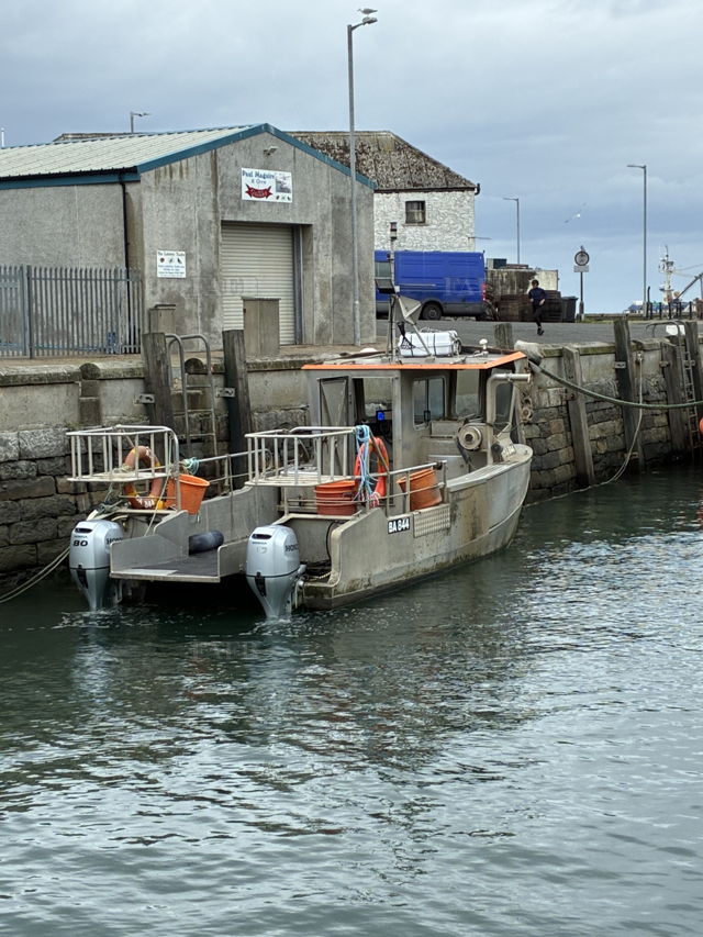 Large picture for advert 142271