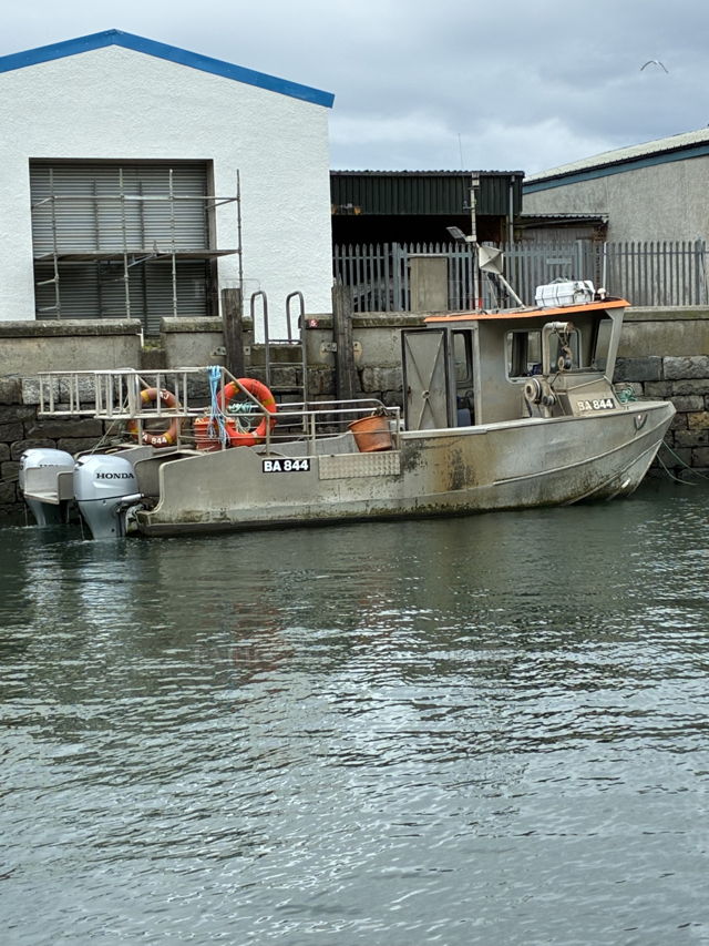 Large picture for advert 142271