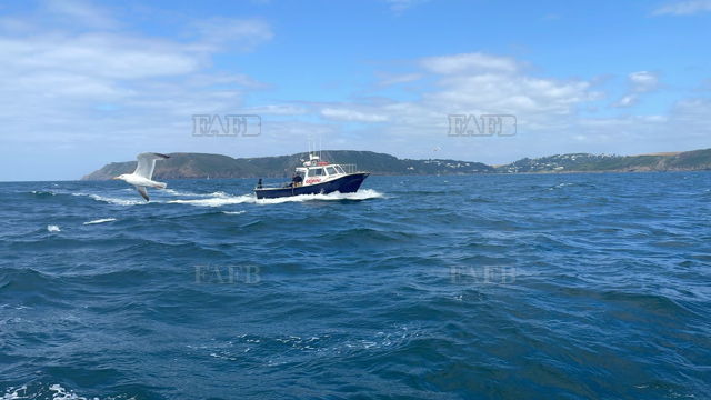 Large picture for advert 147271