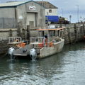 Thumbnail for picture 6
