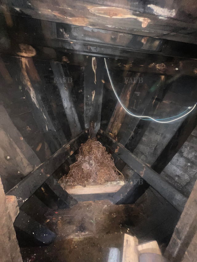 Large picture for advert 142272