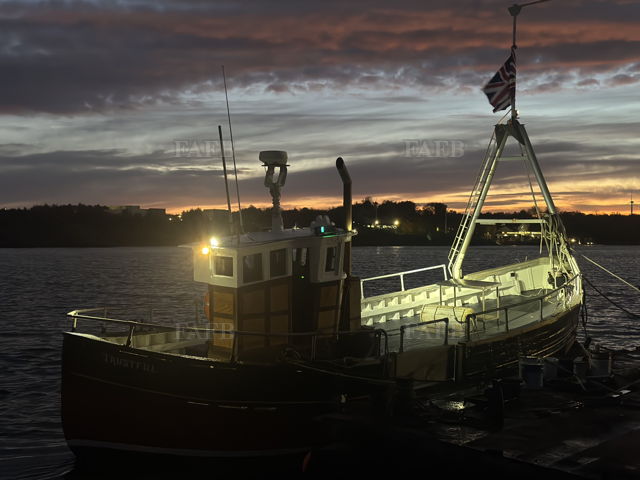 Large picture for advert 142272