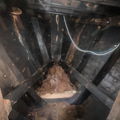Thumbnail for picture 12