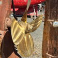 Thumbnail for picture 6