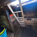 Thumbnail for picture 11