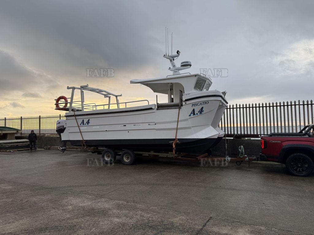 New 7m Maxus Fast Cat