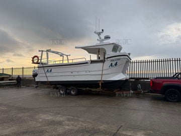 New 7m Maxus Fast Cat