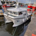Extra picture for advert 140273