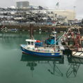 Extra picture for advert 147274