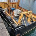 Extra picture for advert 148275
