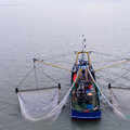 Shrimper/trawler - picture 22