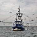 Shrimper/trawler - picture 19
