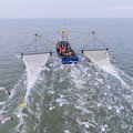 Shrimper/trawler - picture 21