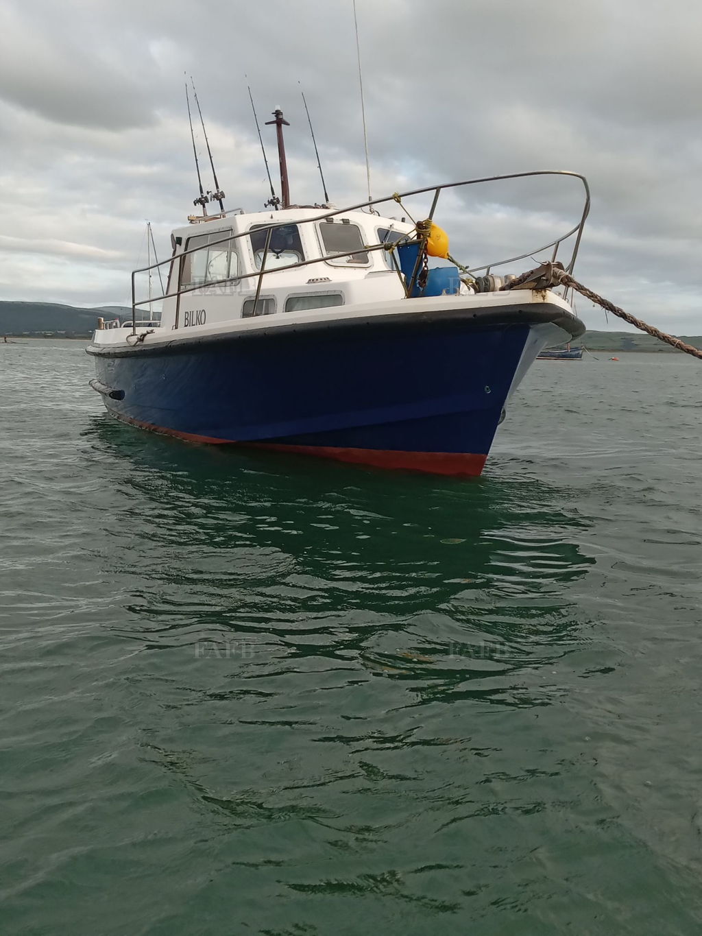 Mitchell 31 MK 2