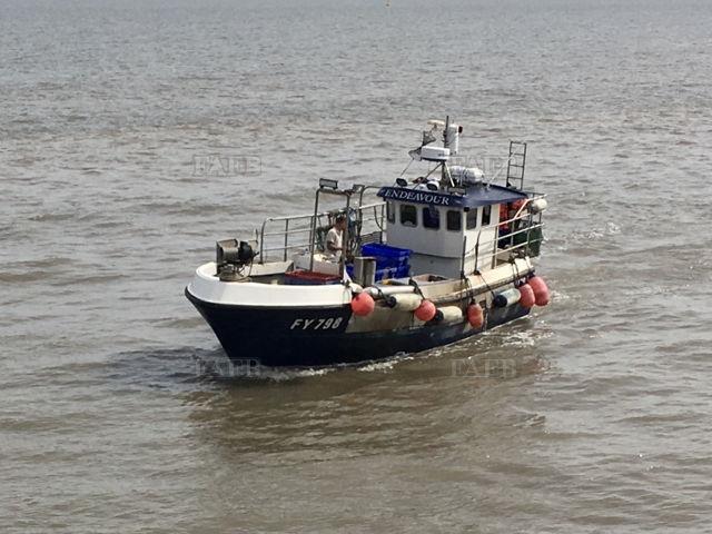 Large picture for advert 140276