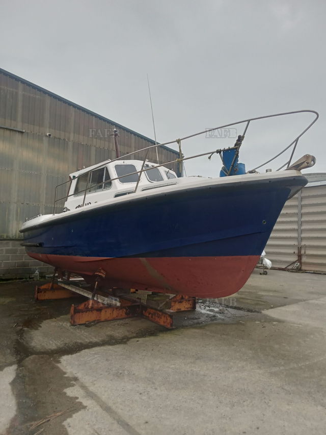 Large picture for advert 143276