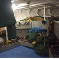 Extra picture for advert 120278