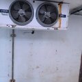 Extra picture for advert 120278