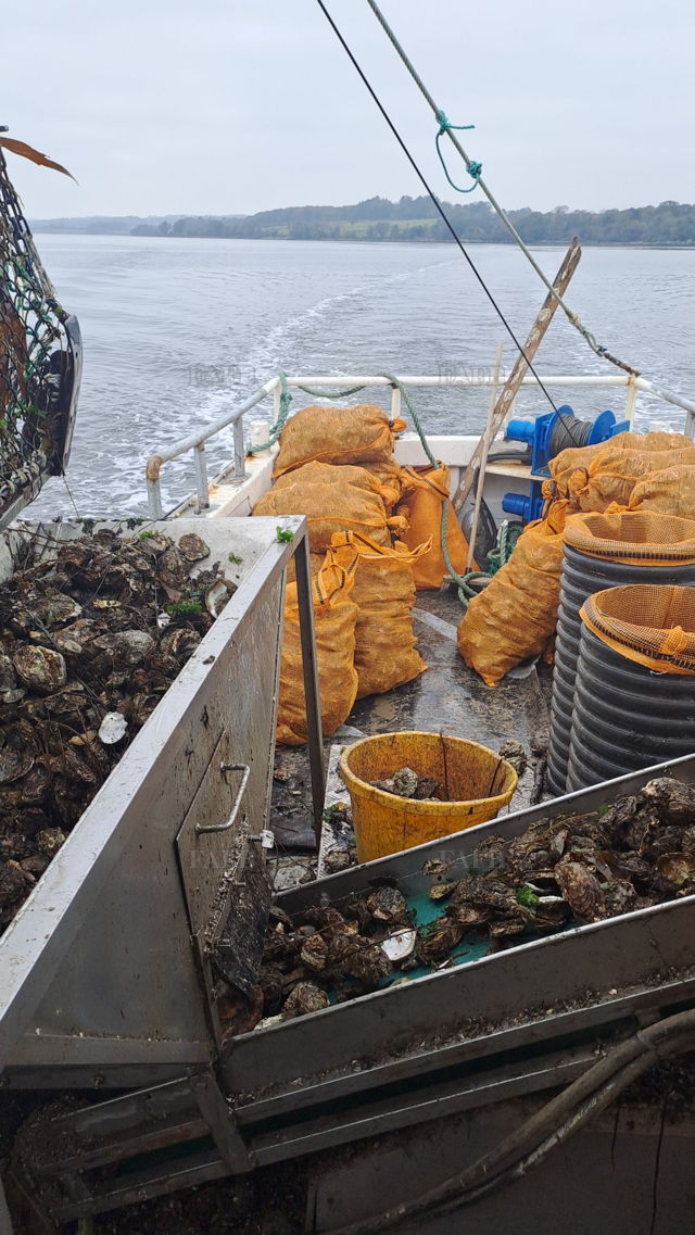 Large picture for advert 144279