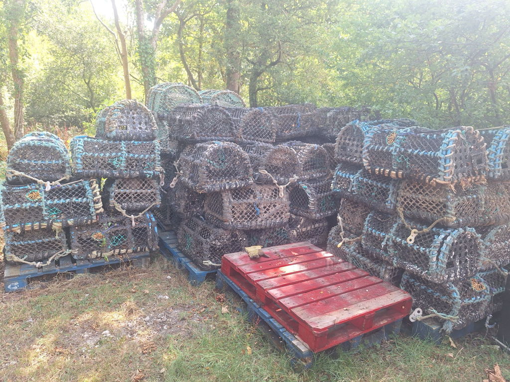 Crab Pots