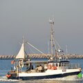 Netter/potter/trawler - picture 19