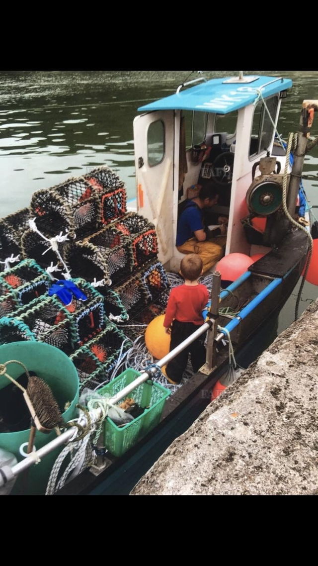 Large picture for advert 138288