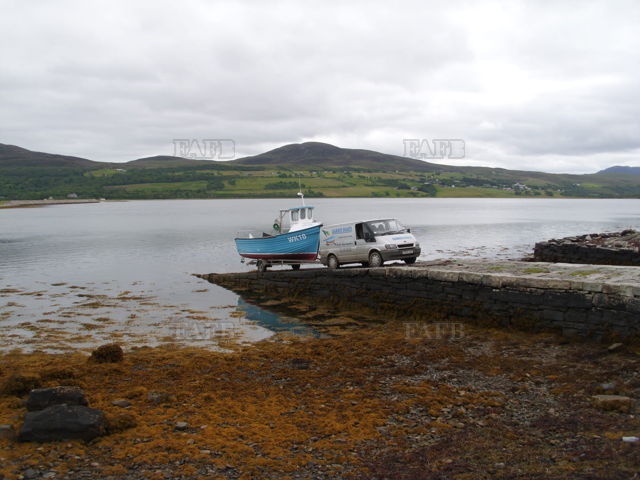 Large picture for advert 138288