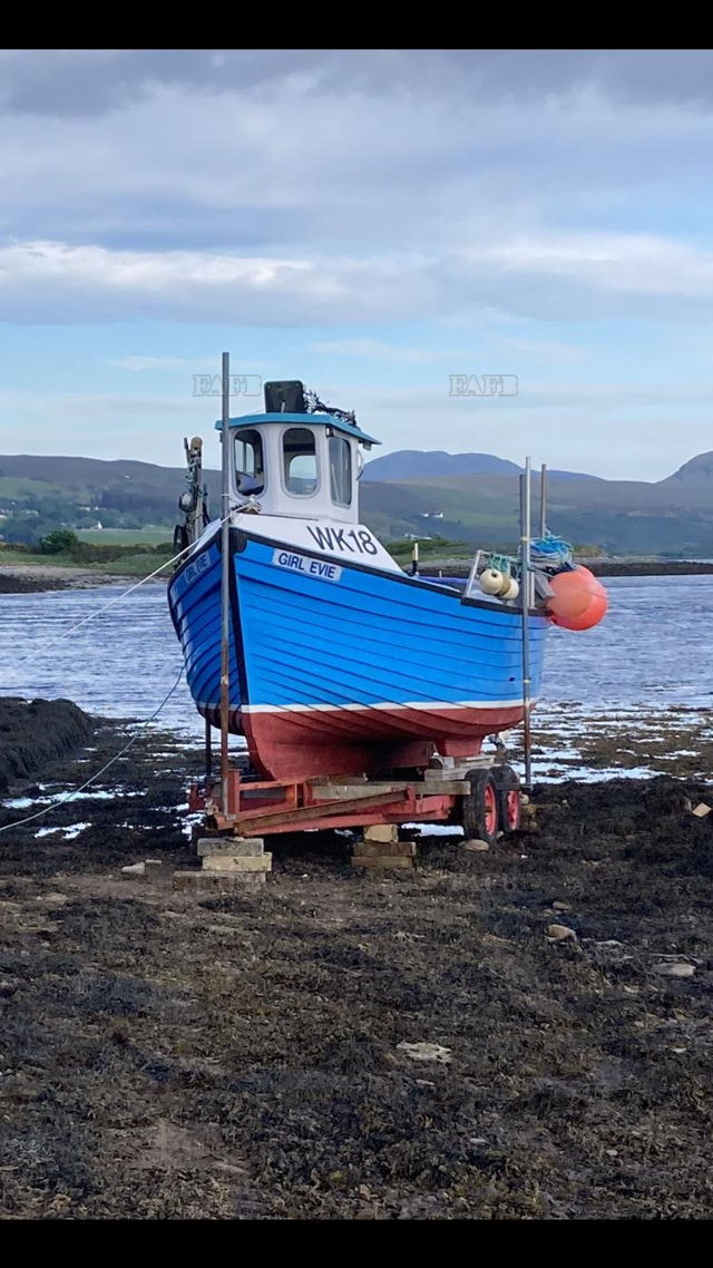 Large picture for advert 138288