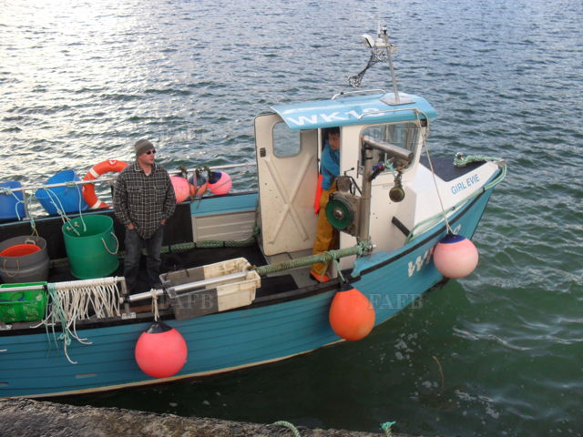 Large picture for advert 138288