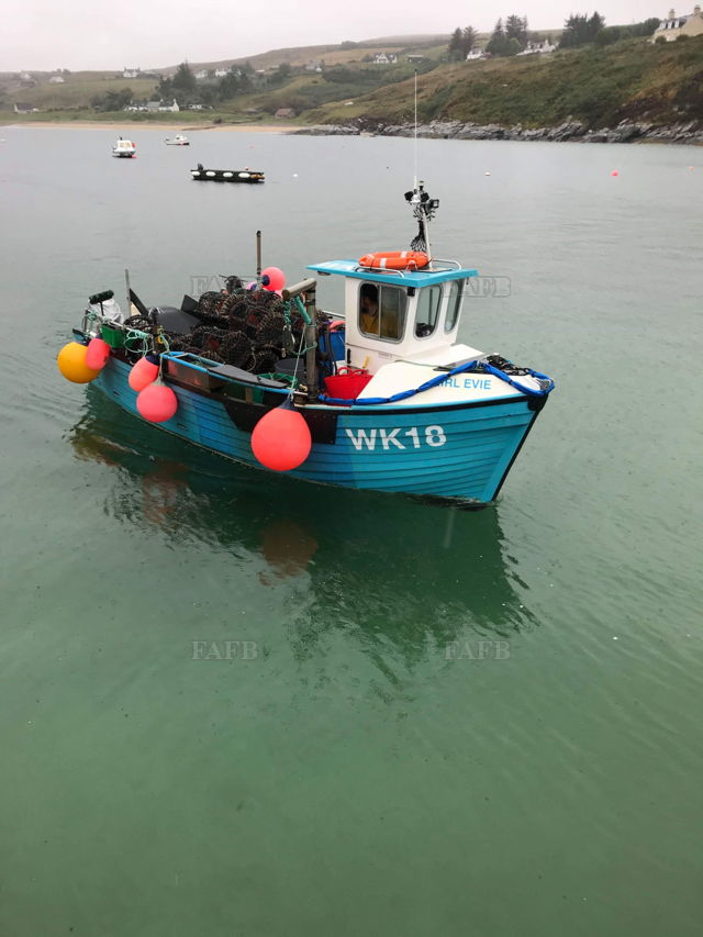 Large picture for advert 138288