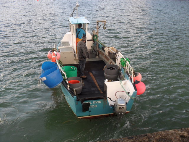 Large picture for advert 138288