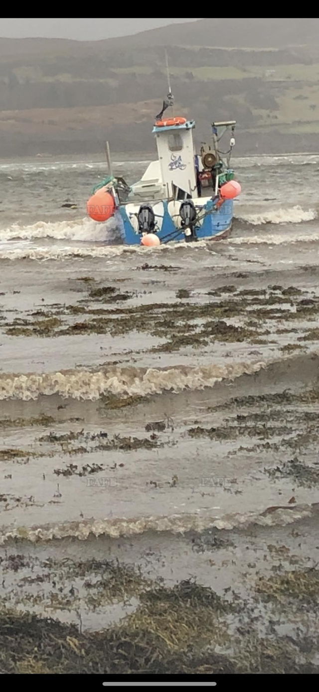 Large picture for advert 138288