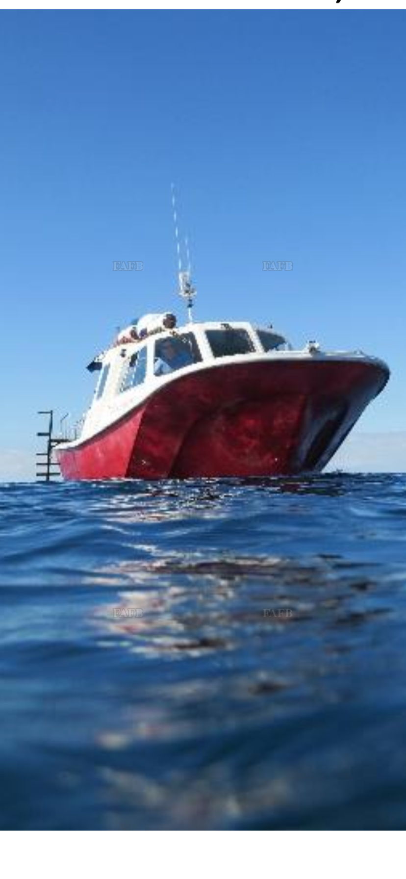 Offshore 105