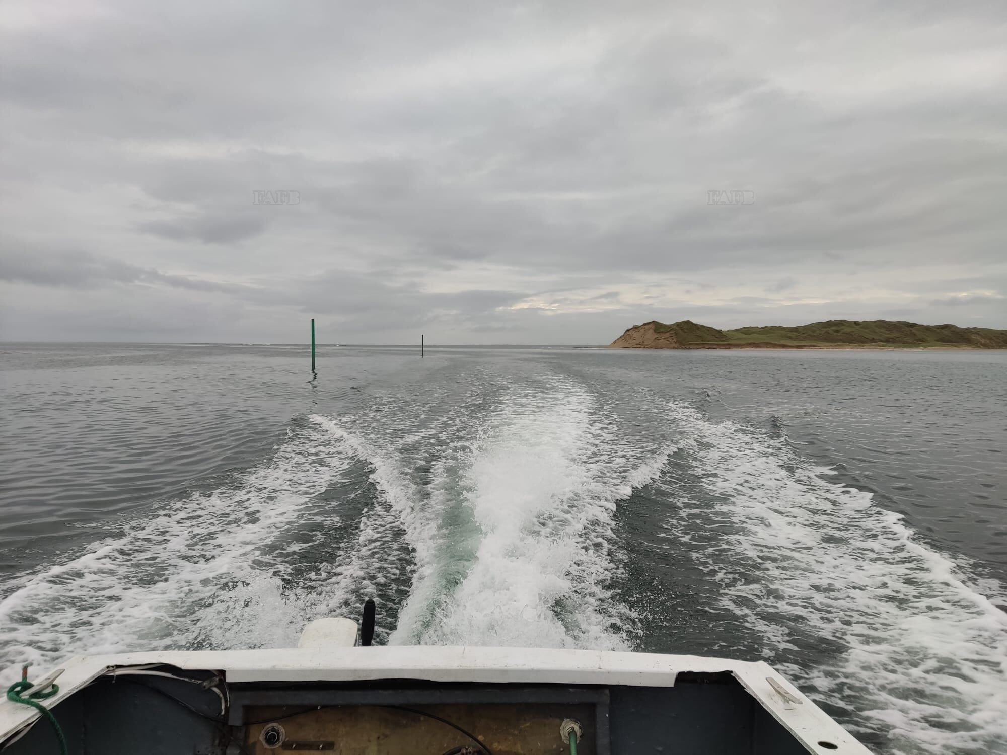 Large picture for advert 112029