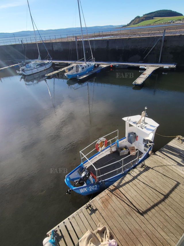 Large picture for advert 143029