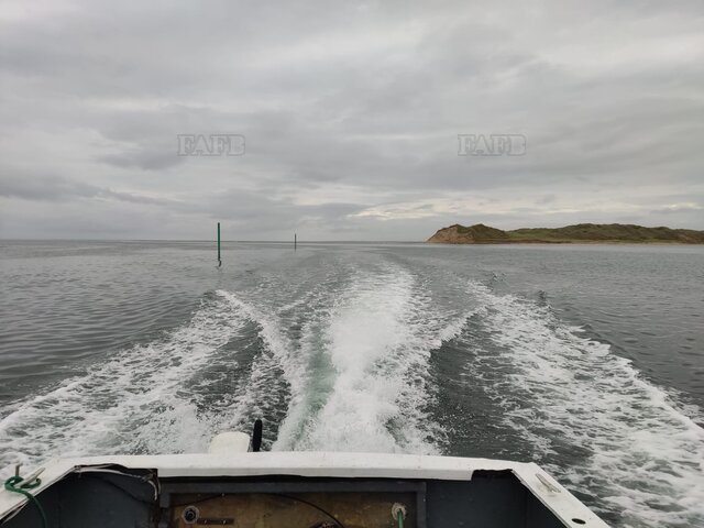 Large picture for advert 112029