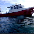 Thumbnail for picture 12