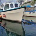 Extra picture for advert 149029