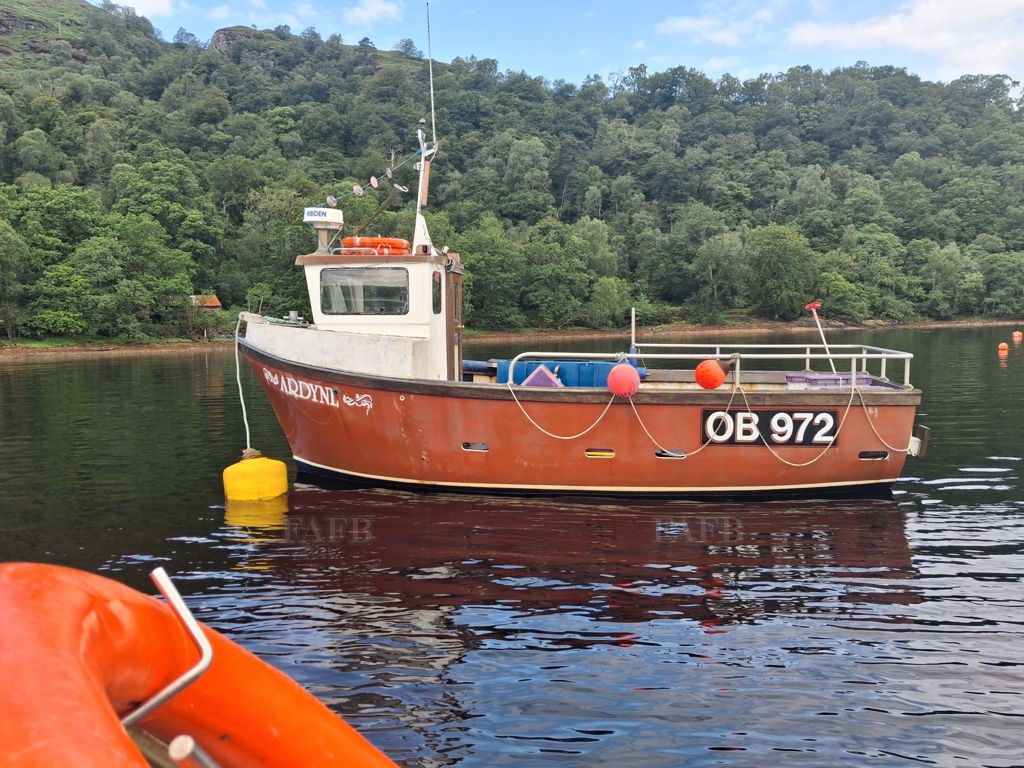 Kestrel 24