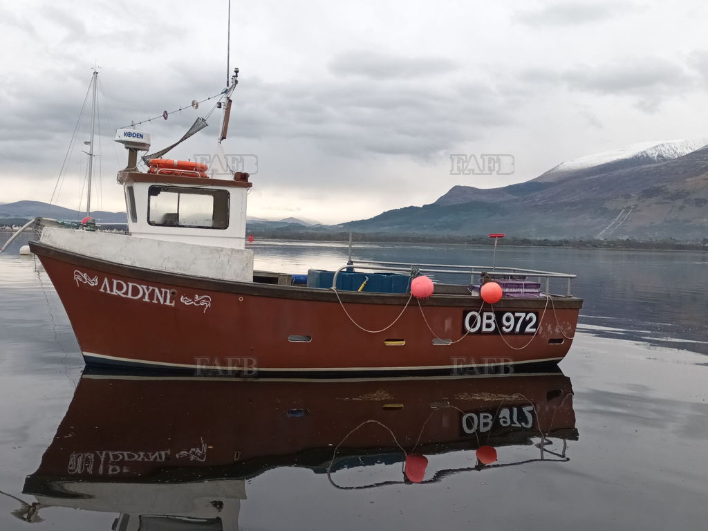 Kestrel 24
