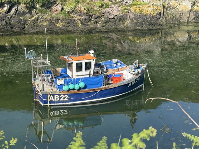 Large picture for advert 143291